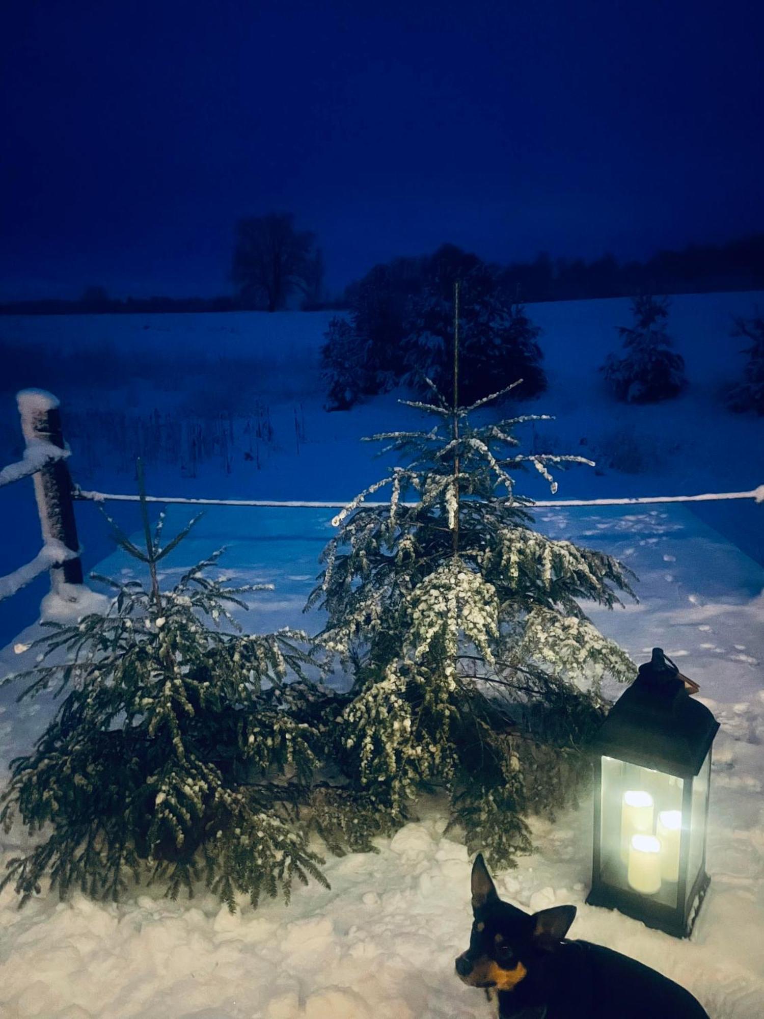 Vecvanagi Jaunmuiza Exterior foto